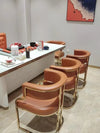 Modern Accent Dining Chair