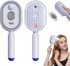 Rechargeable Electric Steam Hair Straightener Brush