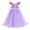 Princess Party Dress